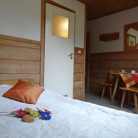 Camping Harenda Pokoje Goscinne I Domki Zakopane Ngoại thất bức ảnh