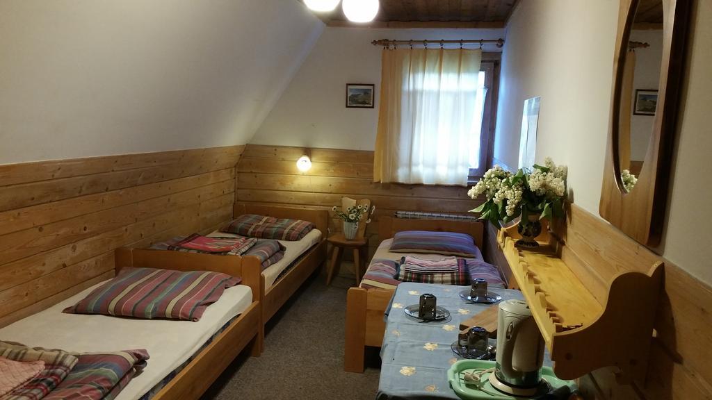 Camping Harenda Pokoje Goscinne I Domki Zakopane Ngoại thất bức ảnh