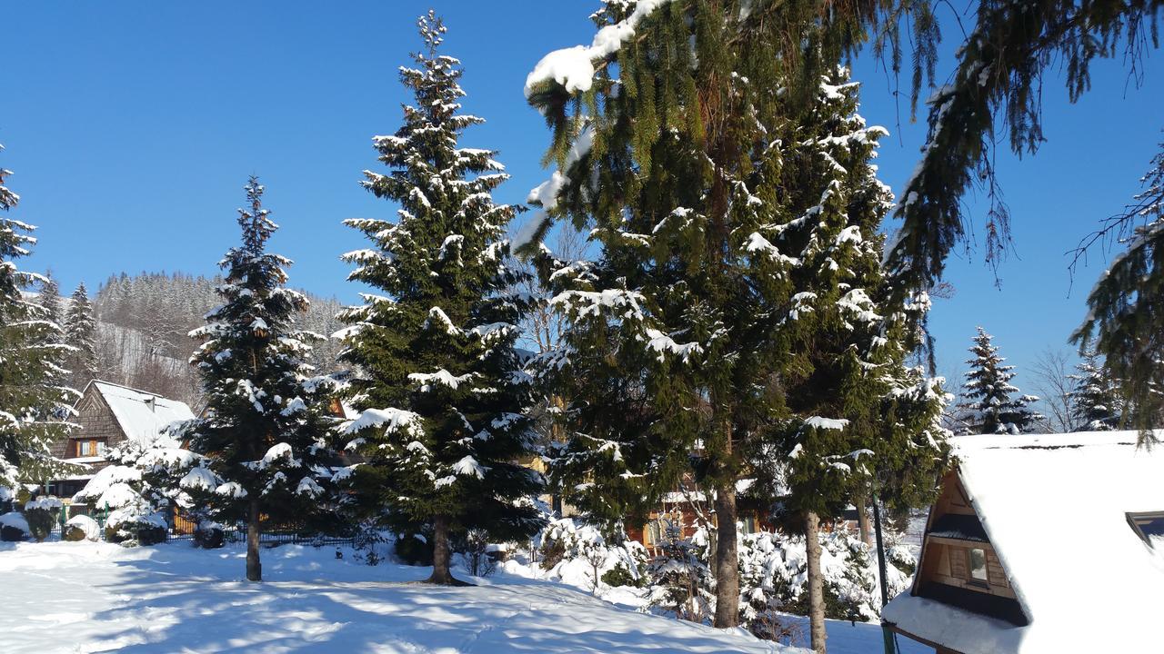 Camping Harenda Pokoje Goscinne I Domki Zakopane Ngoại thất bức ảnh