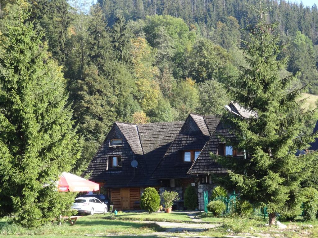 Camping Harenda Pokoje Goscinne I Domki Zakopane Phòng bức ảnh
