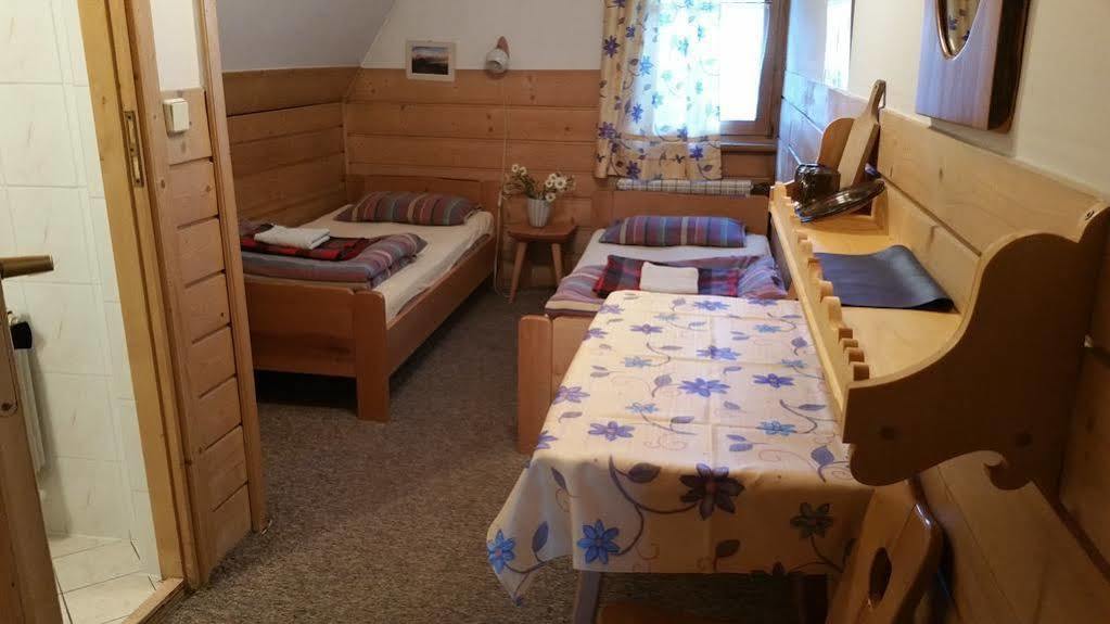 Camping Harenda Pokoje Goscinne I Domki Zakopane Ngoại thất bức ảnh