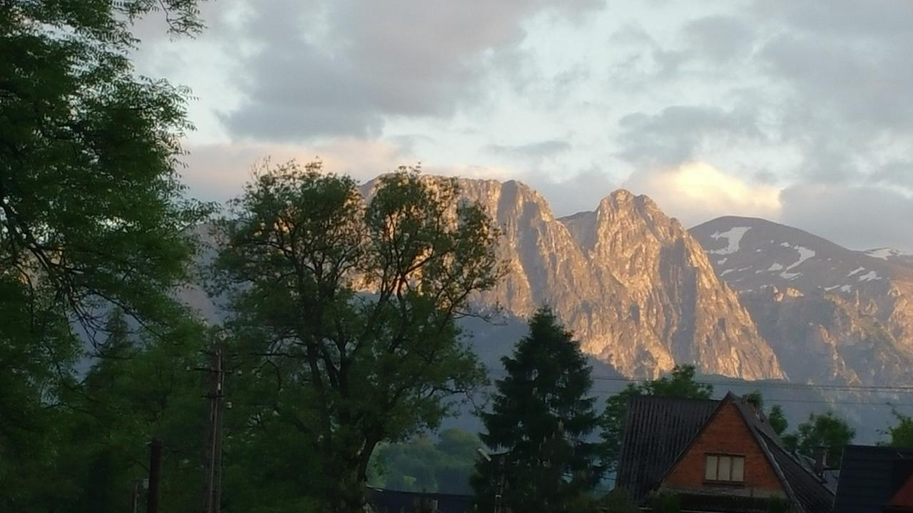 Camping Harenda Pokoje Goscinne I Domki Zakopane Ngoại thất bức ảnh