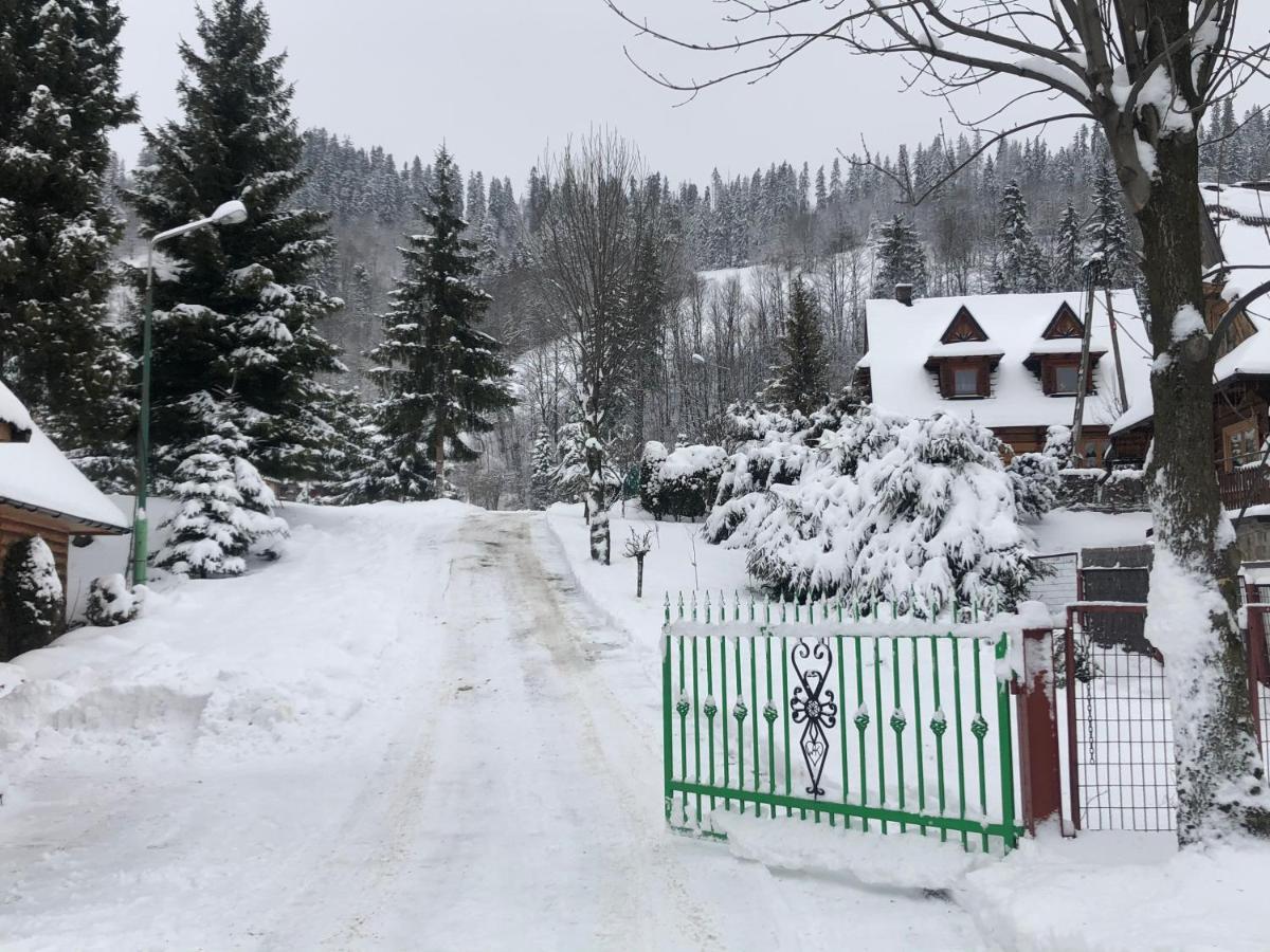 Camping Harenda Pokoje Goscinne I Domki Zakopane Ngoại thất bức ảnh